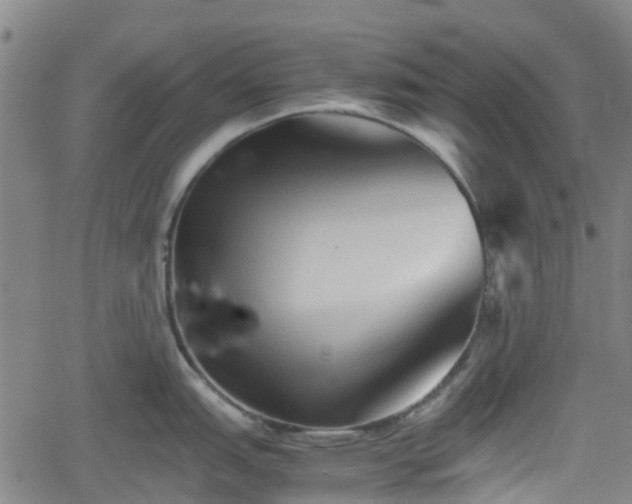 X0000062171151200512161245