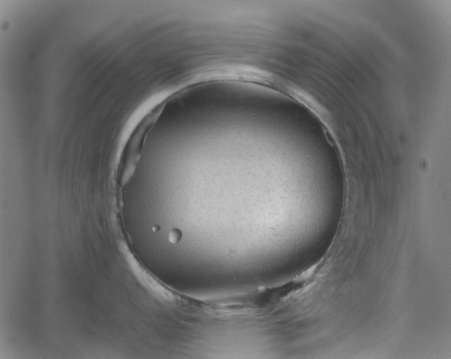 X0000062171152200512161245