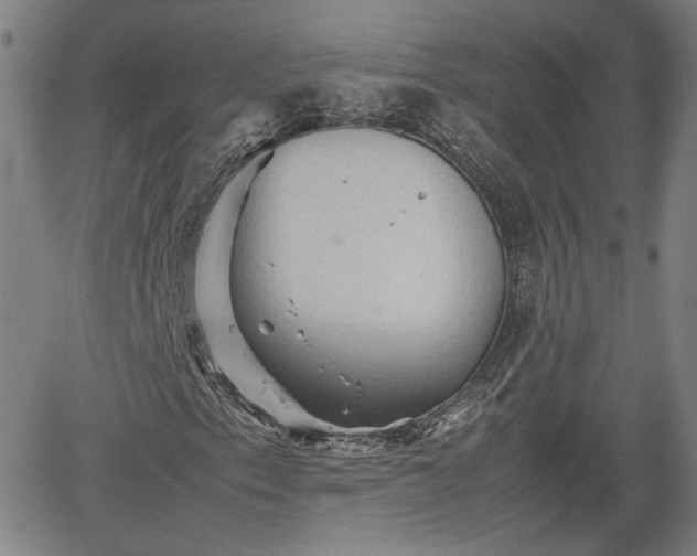 X0000062171153200512161244