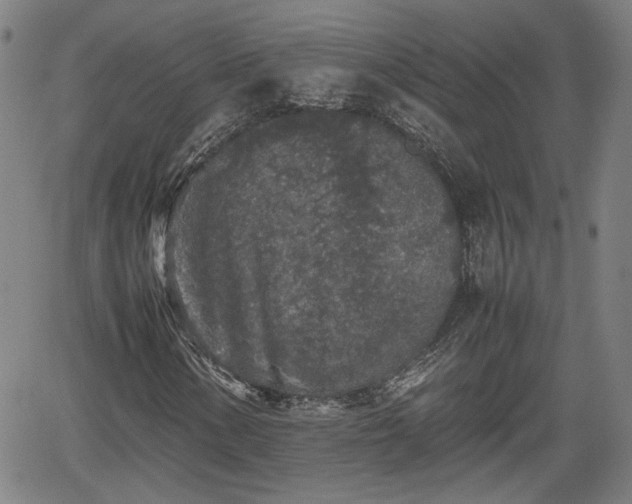 X0000062171154200512161244