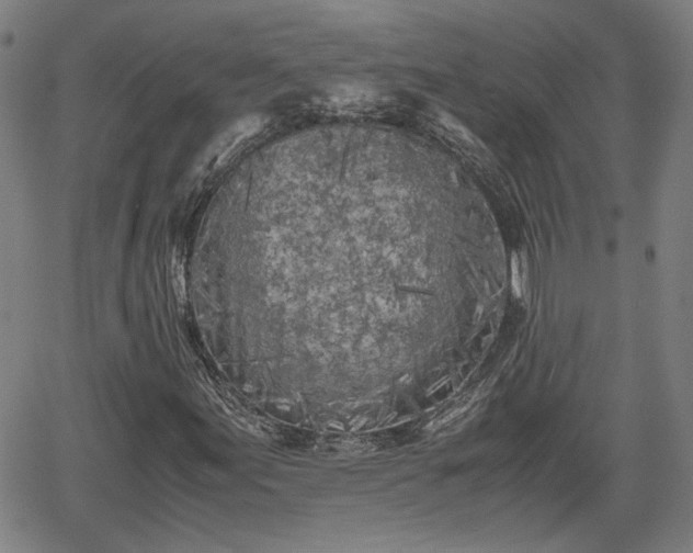 X0000062171155200512161244