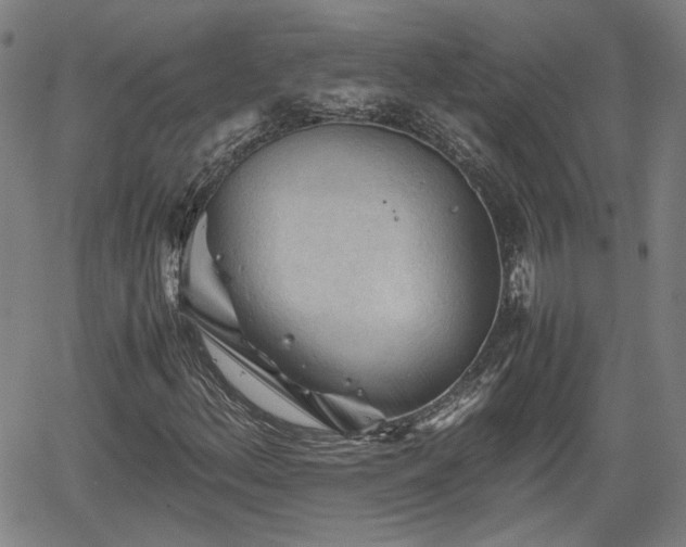 X0000062171156200512161244