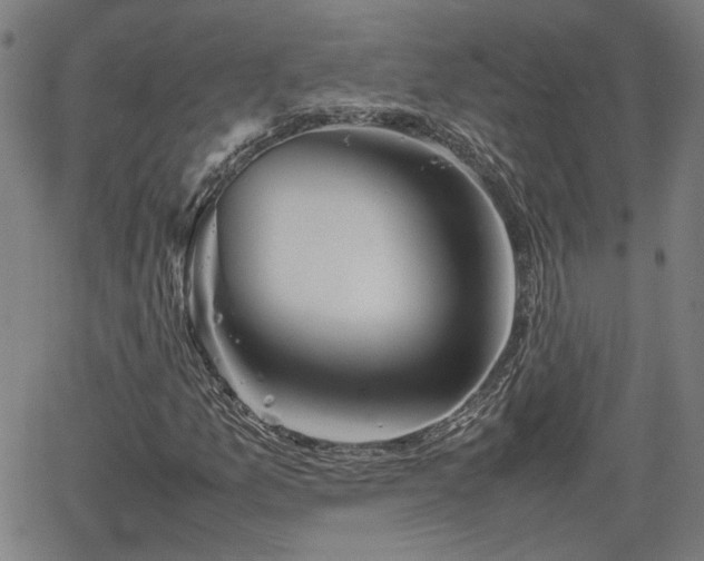 X0000062171157200512161244