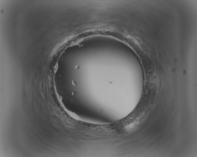 X0000062171159200512161244