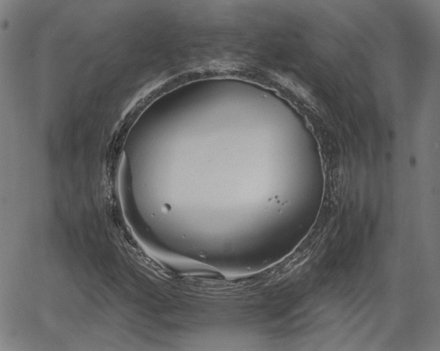 X0000062171160200512161244