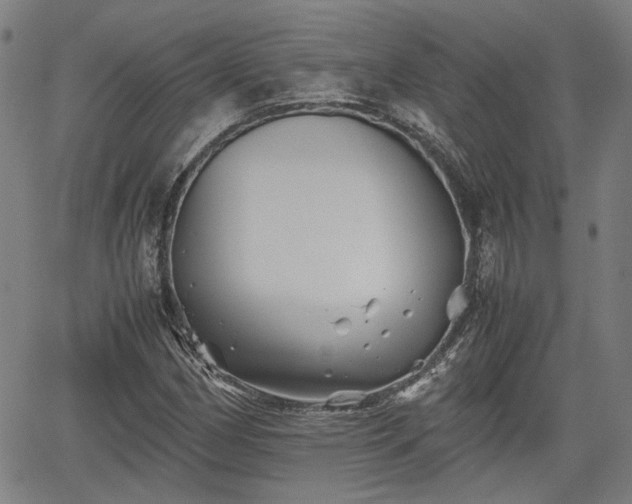 X0000062171162200512161244