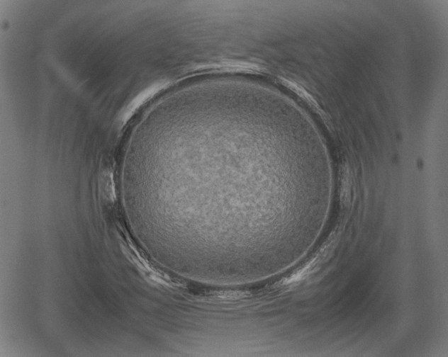 X0000062171163200512161244