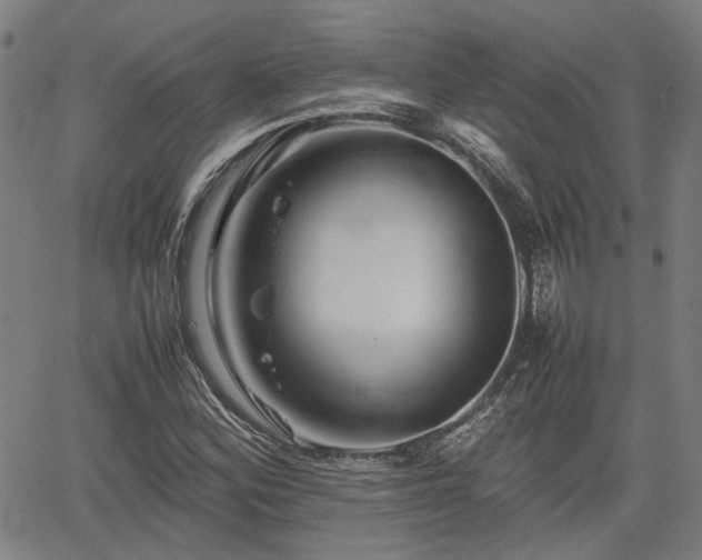 X0000062171164200512161244