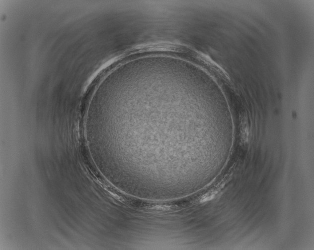 X0000062171166200512161244