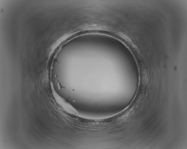 X0000062171167200512161244