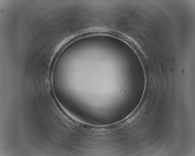 X0000062171168200512161244