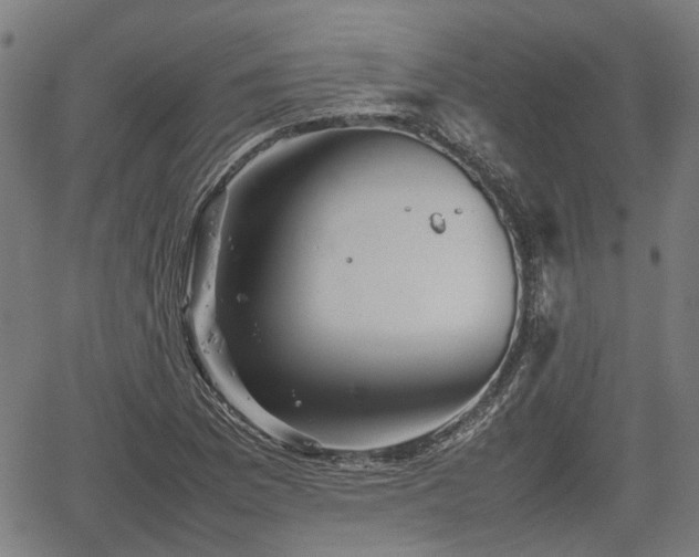 X0000062171169200512161244