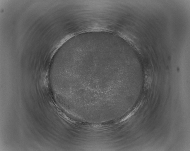 X0000062171170200512161244