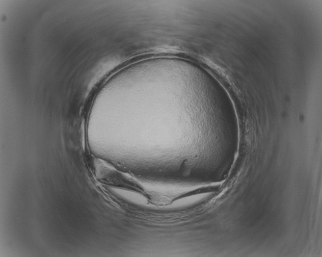 X0000062171171200512161243