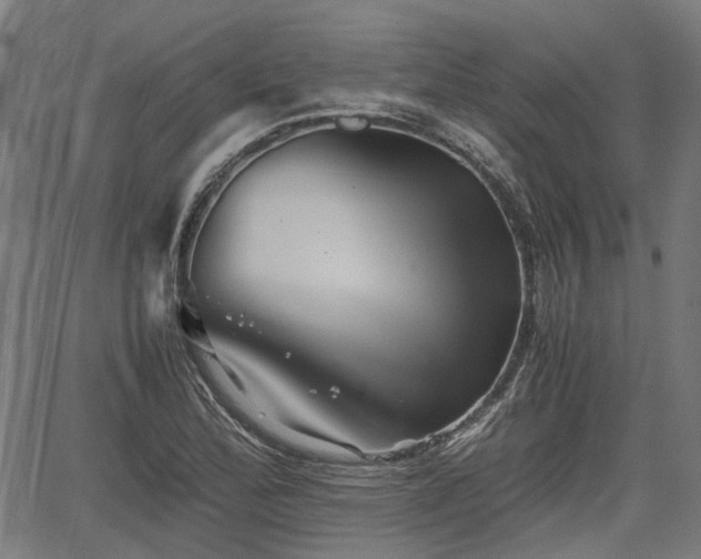 X0000062171172200512161243