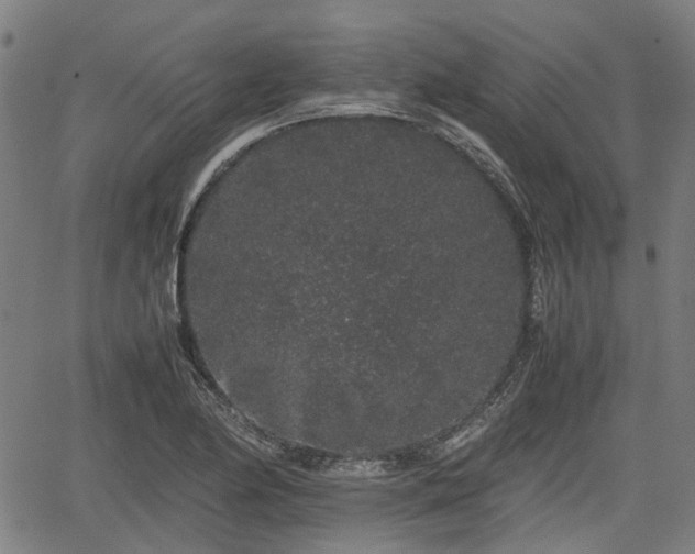 X0000062171174200512161243