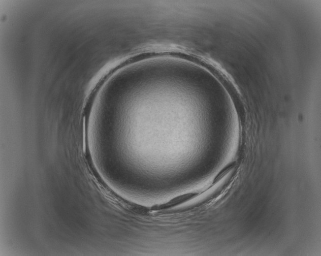 X0000062171175200512161243