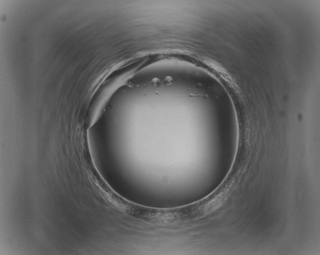 X0000062171177200512161243