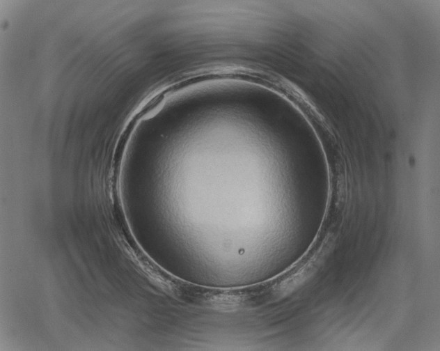 X0000062171178200512161243