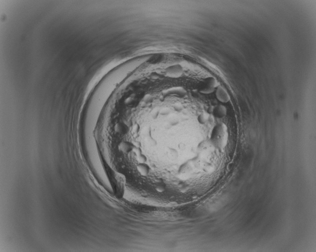 X0000062171179200512161243