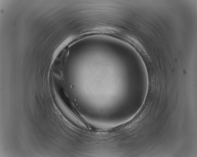 X0000062171180200512161243