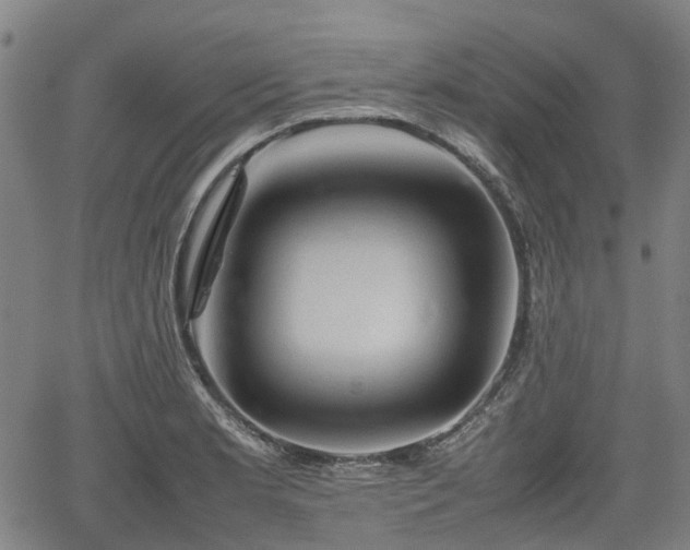 X0000062171181200512161243