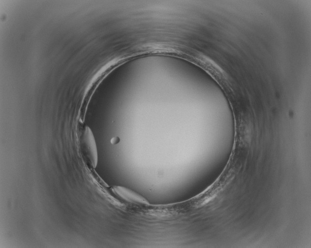 X0000062171182200512161243