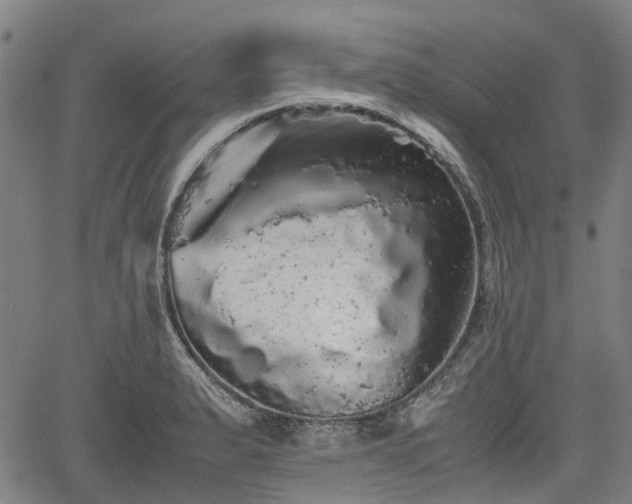 X0000062171183200512161243