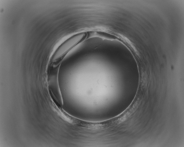 X0000062171184200512161243