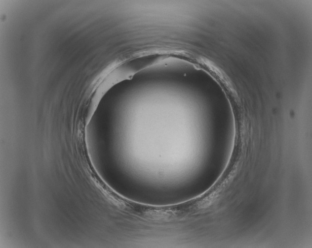 X0000062171185200512161243