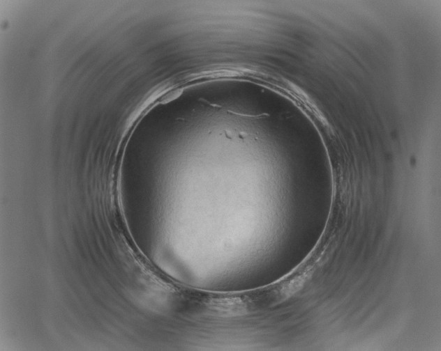 X0000062171186200512161243