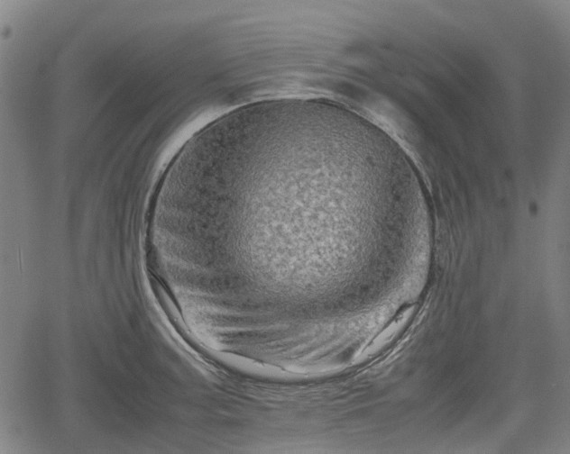 X0000062171187200512161243