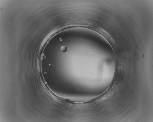 X0000062171188200512161243