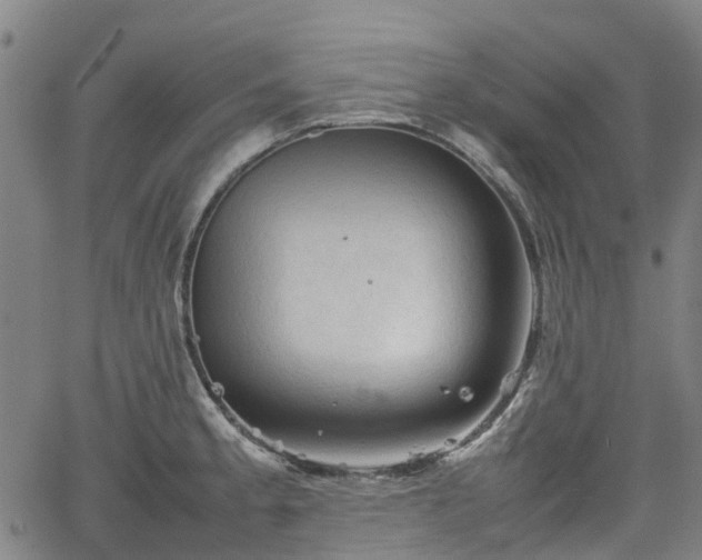 X0000062171189200512161243