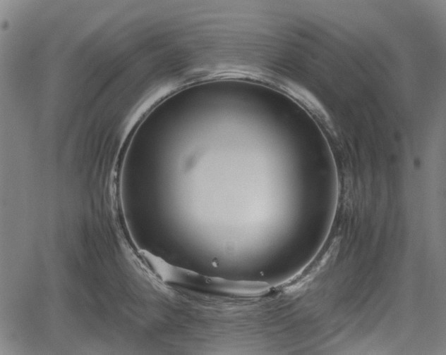 X0000062171190200512161243