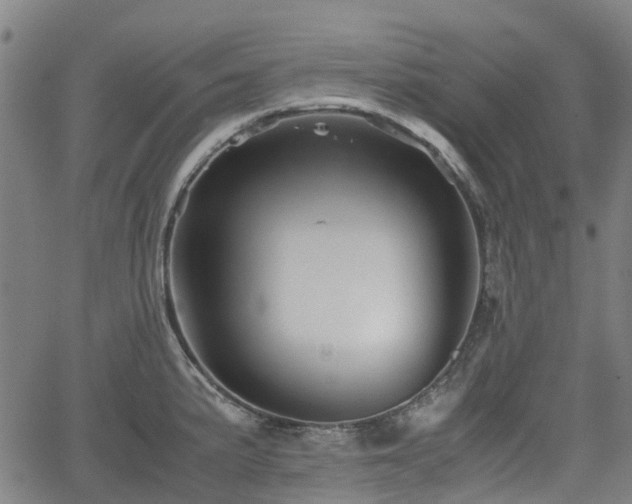 X0000062171191200512161243