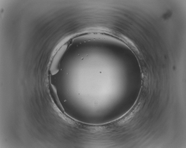 X0000062171192200512161243