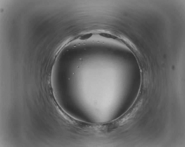 X0000062171193200512161243