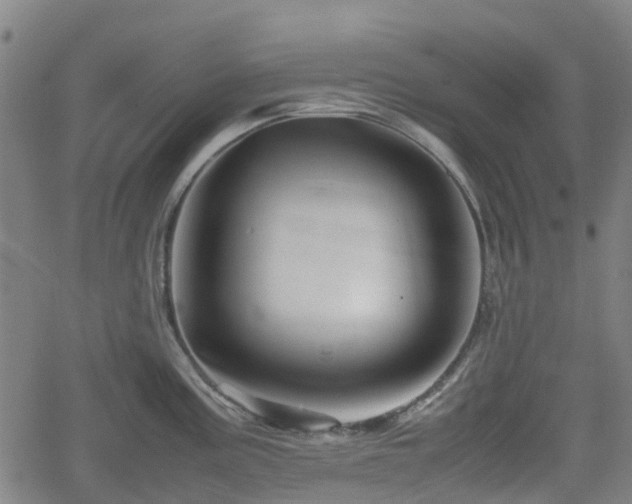 X0000062171195200512161243