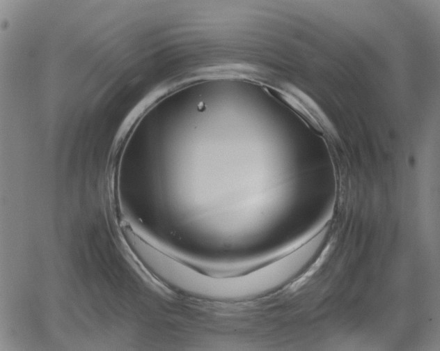 X0000062171196200512161243