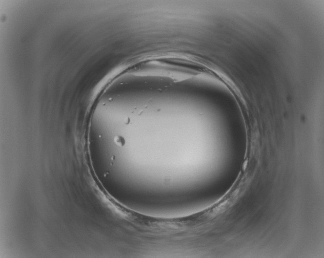 X0000062171197200512161243