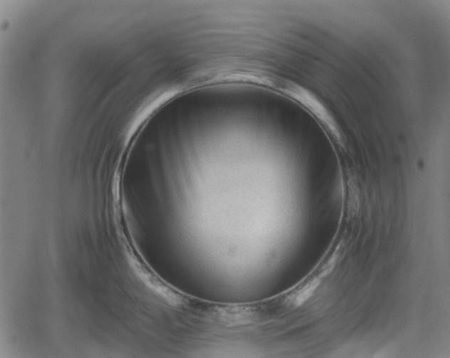 X0000062171198200512161243