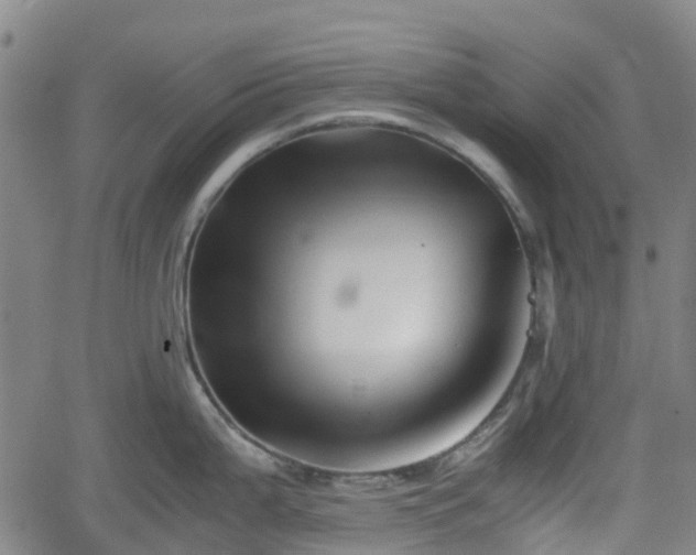 X0000062171199200512161243