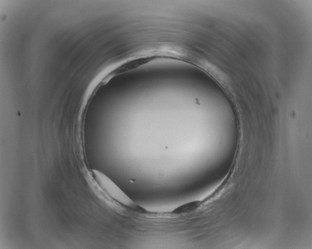 X0000062171200200512161243