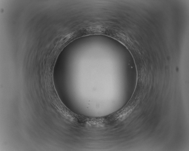 X0000062171201200512161242