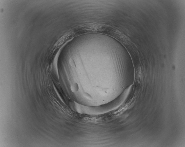 X0000062171202200512161242