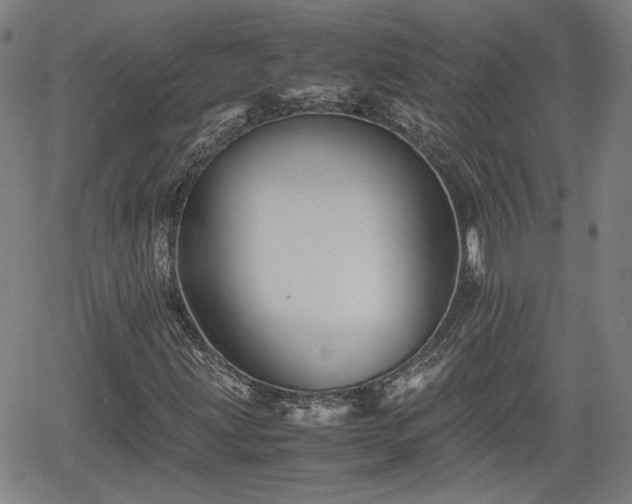 X0000062171203200512161242