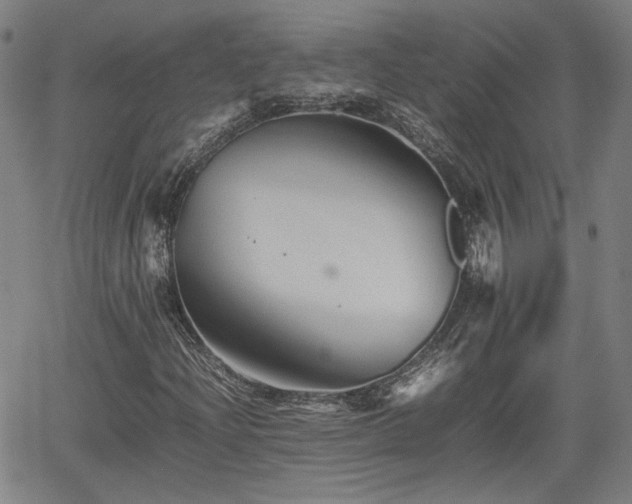 X0000062171204200512161242