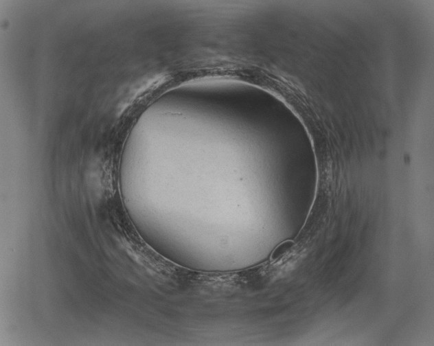 X0000062171205200512161242