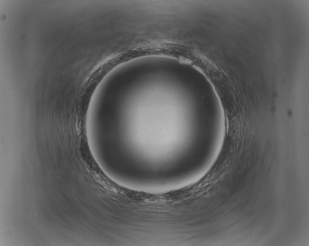 X0000062171206200512161242